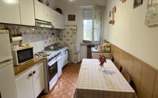 ROGNO (BG) VENDESI TRILOCALE CON BOX E CANTINA.