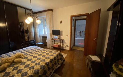 ROGNO (BG) VENDESI TRILOCALE CON BOX E CANTINA.