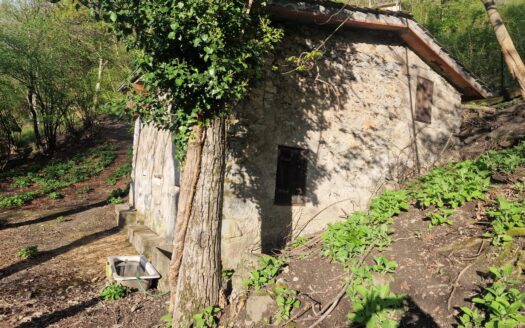 NIARDO (BS) LOCALITA’ NESE VENDESI CASCINA.