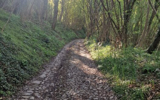 NIARDO (BS) LOCALITA’ NESE VENDESI CASCINA.