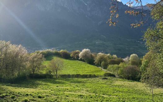 NIARDO (BS) LOCALITA’ NESE VENDESI CASCINA.
