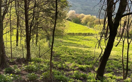 NIARDO (BS) LOCALITA’ NESE VENDESI CASCINA.